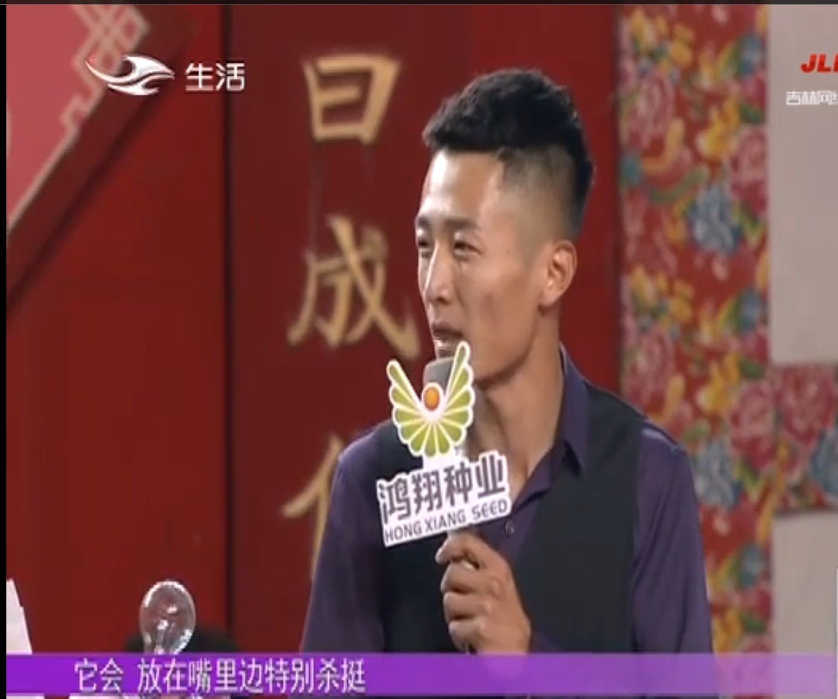 节目《全城热恋》好看吗？怎么评价