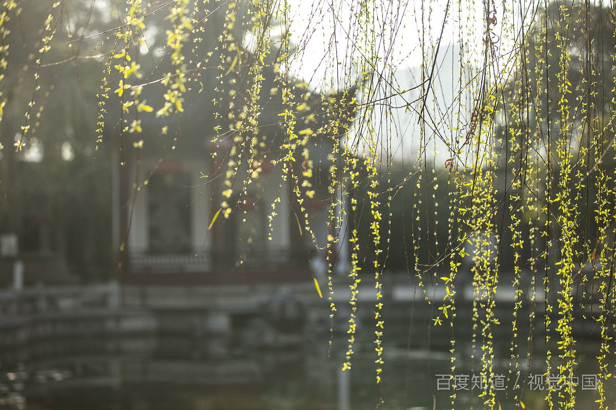 冬至九九歌是什么意思？