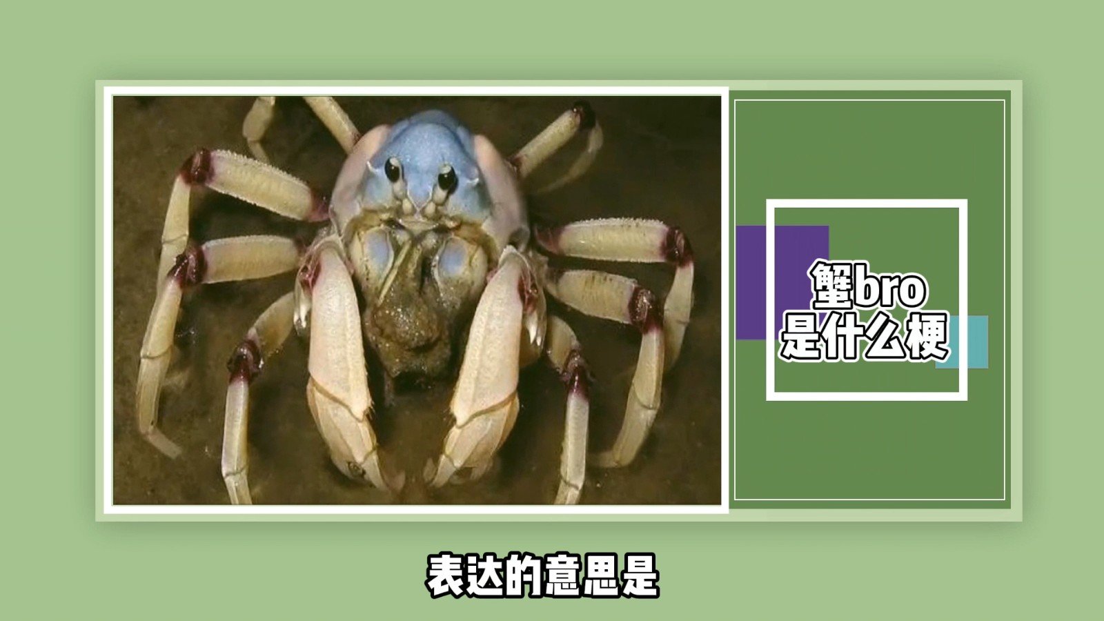 蟹bro是什么梗？