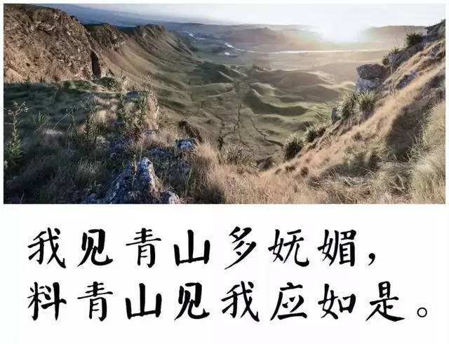 我看青山多妩媚，料青山看我亦如是。 以上诗句出自何人？ 有何意义？