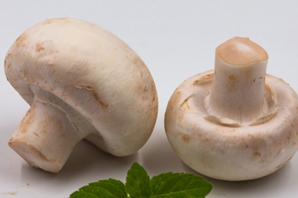 口蘑中的口字源于那里