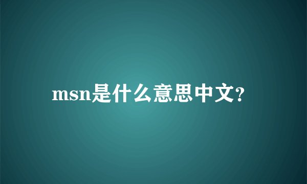msn是什么意思中文？