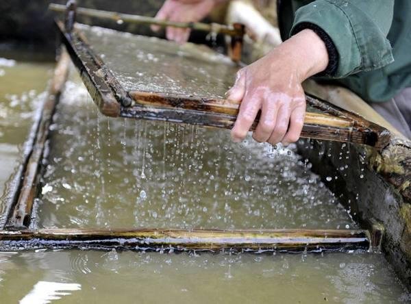 学习了纸的发明你想对蔡伦说些什么？