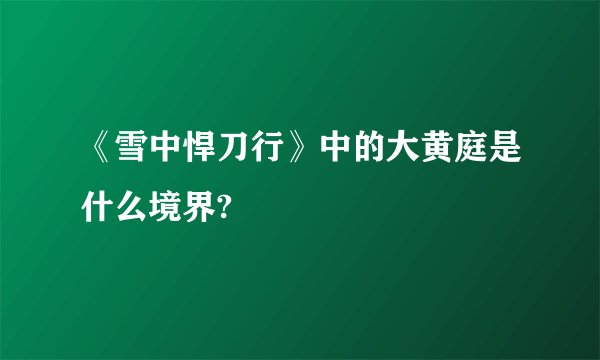 《雪中悍刀行》中的大黄庭是什么境界?
