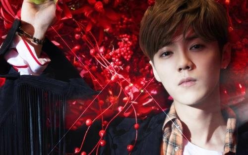 鹿晗要签约李冰冰的公司了吗？