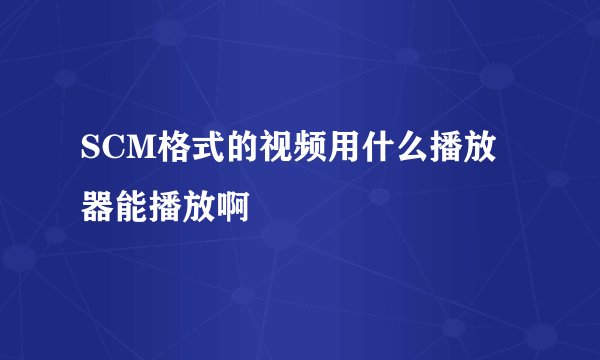 SCM格式的视频用什么播放器能播放啊