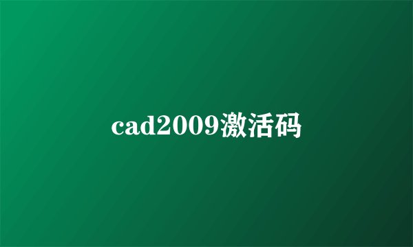 cad2009激活码