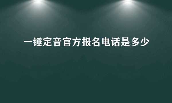 一锤定音官方报名电话是多少