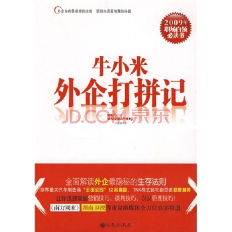 牛小米外企打拼记的介绍
