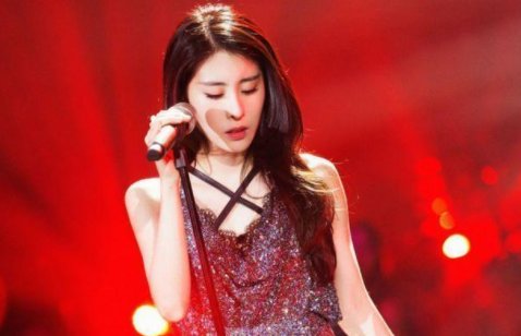 张碧晨被指是EXO私生饭 私生饭是什么意思