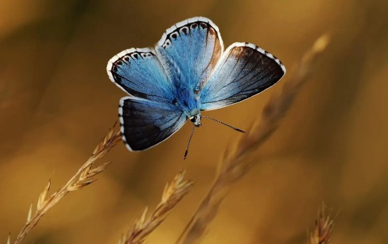 雨一来他们便放假了仿写三句如下