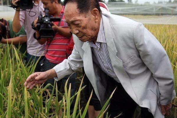 称为杂交水稻之父的袁隆平，他在国际上的名声和地位如何？