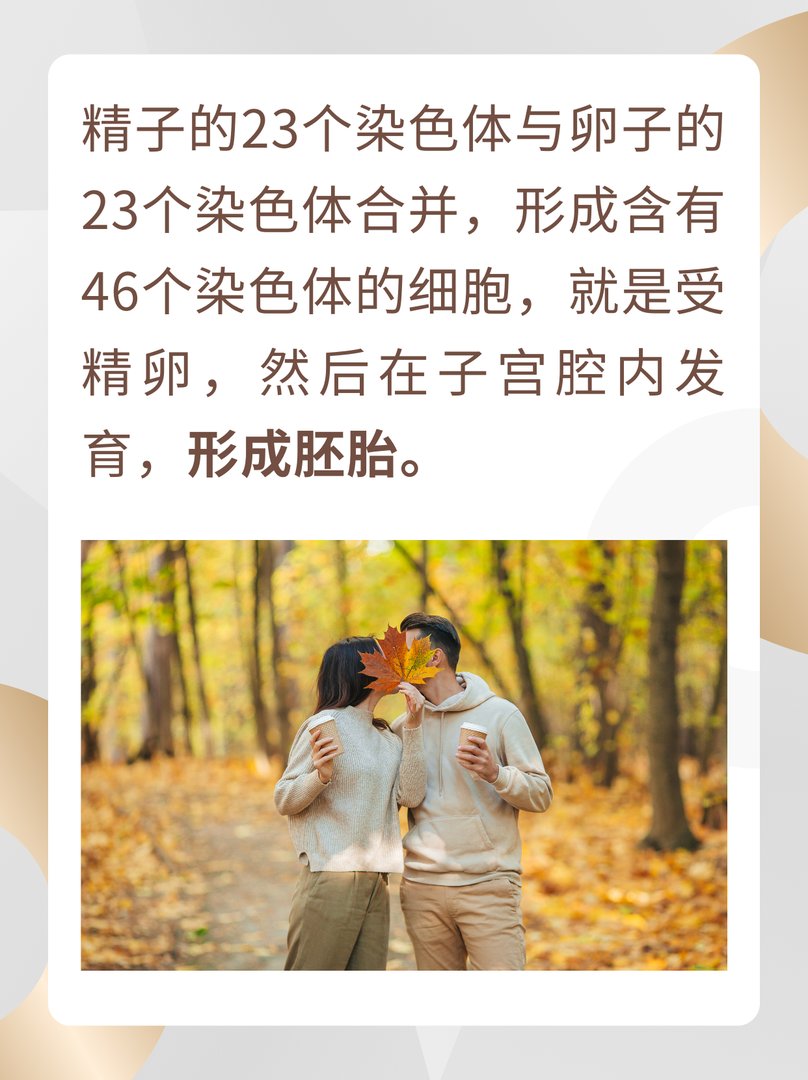 人是怎么配的种