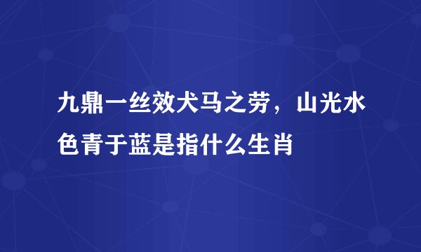 九鼎一丝效犬马之劳，山光水色青于蓝是指什么生肖