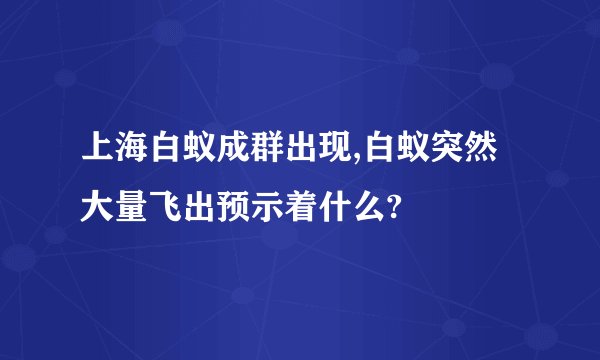 上海白蚁成群出现,白蚁突然大量飞出预示着什么?