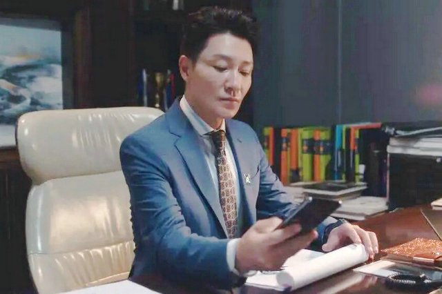 安家这部剧一共有多少集?