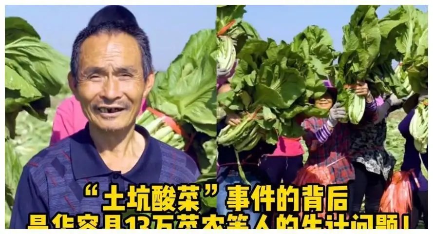 土坑酸菜”事件影响13万人生计，如何才能将事件的影响降到最低？