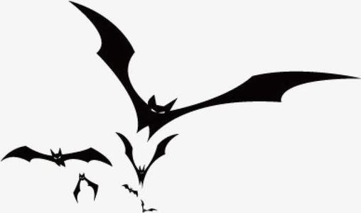 “五喜不请自来，家中能人辈出”，5喜是啥？