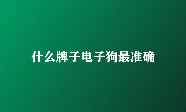 什么牌子电子狗最准确