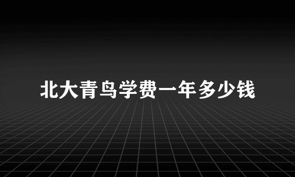 北大青鸟学费一年多少钱