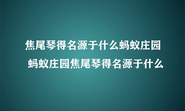 焦尾琴得名源于什么蚂蚁庄园 蚂蚁庄园焦尾琴得名源于什么