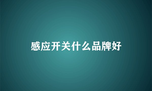 感应开关什么品牌好