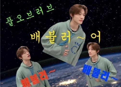 黄宝鸡什么意思?