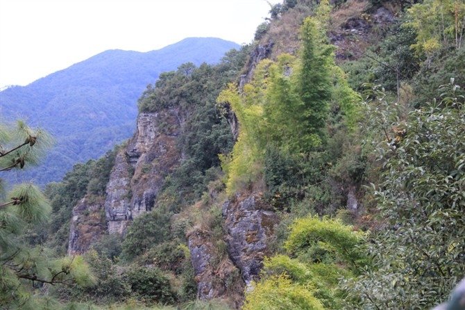 云南4名失联地质人员均已遇难，哀牢山到底有多凶险？