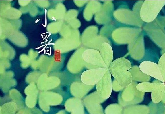 小暑是不是入伏 小暑节气是入伏吗