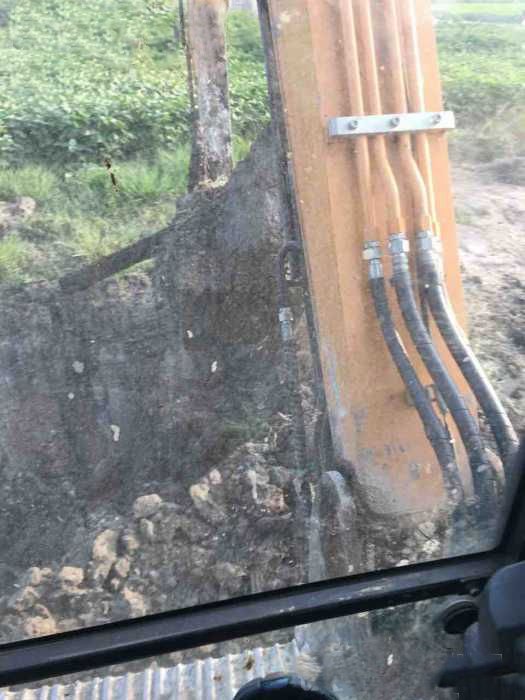 挖掘机挖到棺材了怎么办？