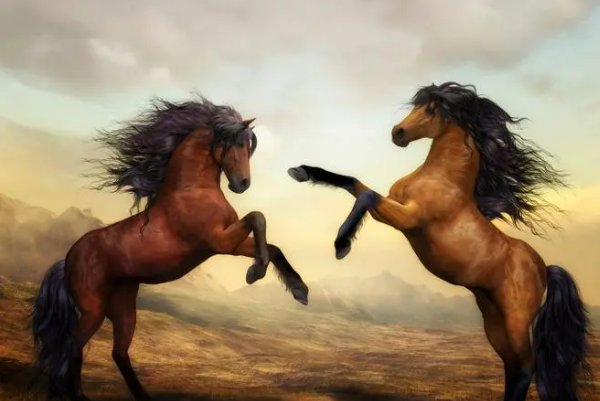 大好前程来相助打一动物