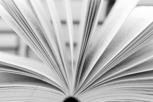 杜的拼音和组词