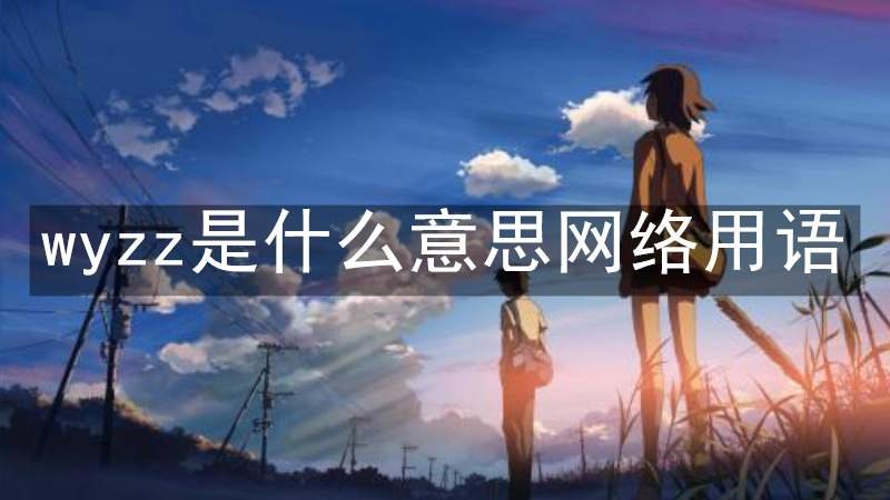 wyzz是什么意思网络用语