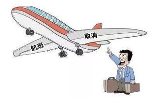 广州、北京等地航班现大面积取消，这是受哪些因素影响？