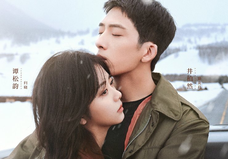 电视剧《归路》一共有多少集?