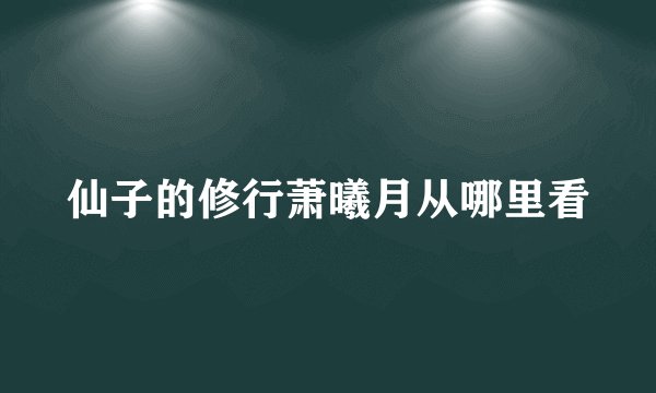 仙子的修行萧曦月从哪里看