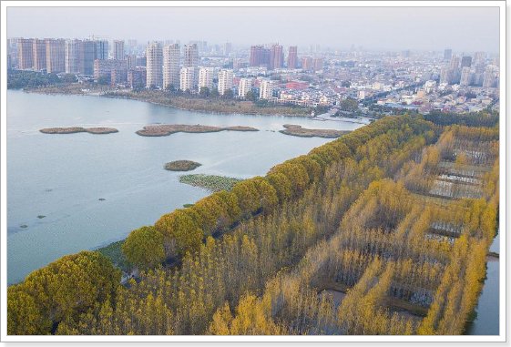 哪座城市被称为东海第一胜境