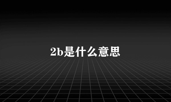 2b是什么意思
