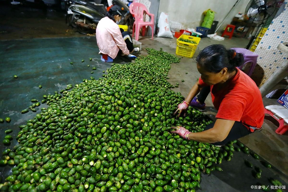网友建议禁止销售槟榔,广东省委回应称已转相关部门阅研,具体情况如何?