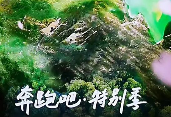 跑男特别季什么时候开播？