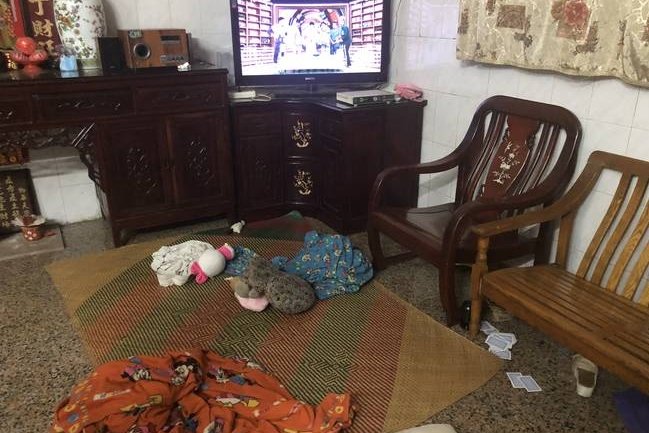 牵狗女孩称没看到老人被狗绳绊倒，那她为何要逃跑？