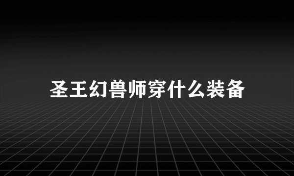 圣王幻兽师穿什么装备