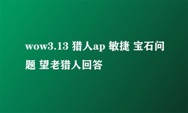 wow3.13 猎人ap 敏捷 宝石问题 望老猎人回答