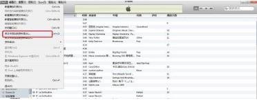 ibook支持什么格式 ipad