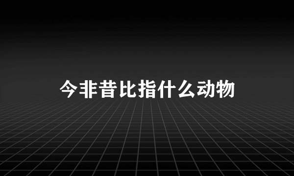 今非昔比指什么动物