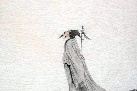 但愿人长久，千里共婵娟。这两句诗是什么意思？