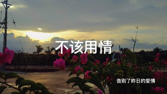 告别溜昨日的爱情是什么歌