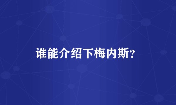 谁能介绍下梅内斯？
