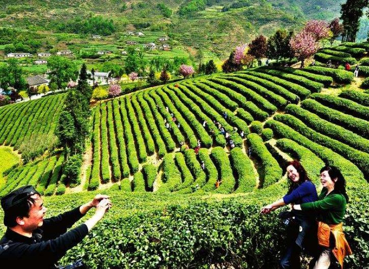 国家扶持的农业项目有哪些？