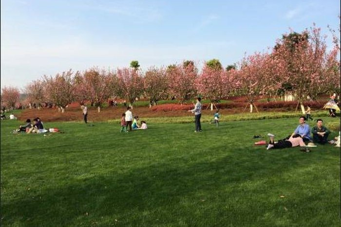 陈爱珠建议设置结婚辅导期，新婚夫妇能“持证上岗”，这对于婚姻有何意义？